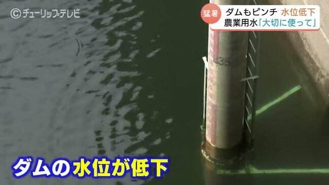 記録的な水不足は富山でも　南砺市のダムで貯水率が低下　放水量を制限するもこのままでは農業に影響も|TBS NEWS DIG