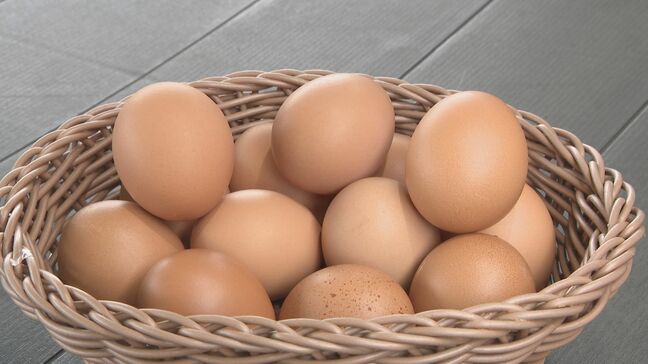 猛暑でニワトリが“夏バテ” 死んでしまう個体も  秋の“お月見シーズン”で卵の需要増える一方…12月まで価格このままか|TBS NEWS DIG