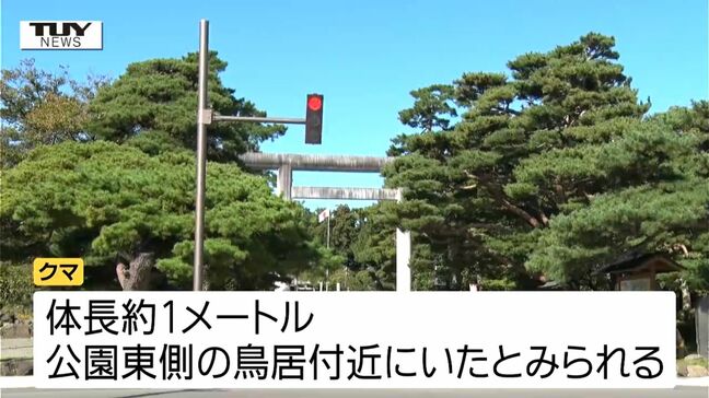 【動画】「まさかこんな街中に」軽自動車とクマの接触事故も...鶴岡市でクマの目撃相次ぐ（山形）|TBS NEWS DIG
