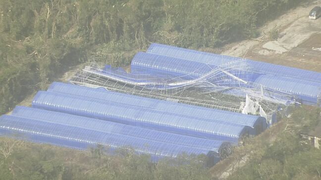 【速報】八丈町の大雨特別警報を「警報」に切り替え　土砂災害警戒情報は継続発表中　引き続き土砂災害に厳重な警戒を【台風22号】|TBS NEWS DIG