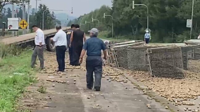 速報 トレーラーと乗用車が交差点で衝突…4人けが うち2人が意識不明の重体 現場はトレーラーで運んでいたジャガイモが散乱 北海道士幌町|TBS NEWS DIG