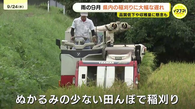 「今年の雨は長過ぎる」「機械が埋まって動けなくなる」雨が続く９月　広島県内の米どころ　稲刈り遅れ今後の影響懸念　広島県北広島町|TBS NEWS DIG