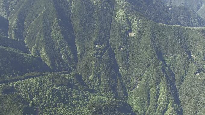 【速報】登山中の男性がクマに襲われ重傷　東京・奥多摩町　警視庁|TBS NEWS DIG
