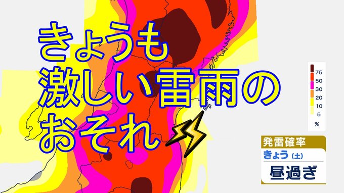 「雷三日」どおり13日も宮城県内は大気"非常に不安定"　昼前～夜のはじめ頃は激しい突風や落雷、急な強い雨やひょうに注意【雨雲シミュレーション13日正午～午後6時】|TBS NEWS DIG