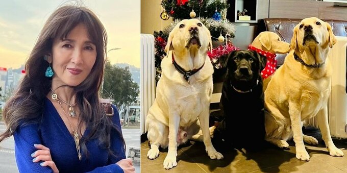工藤静香さん　日本補助犬協会に寄付　「今必要な物を伺い、今回はオイルヒーター４台となりました！　老犬たちが暖かく過ごせると嬉しいです❤❤」|TBS NEWS DIG