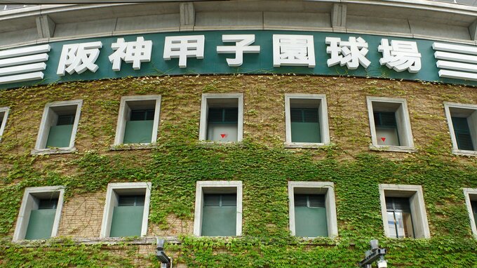 第95回センバツ高校野球　出場校決定！！（九州地区）　|　熊本のニュース｜RKK NEWS｜RKK熊本放送