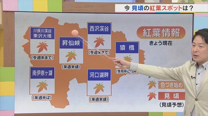 週末は半袖でもOK？　県内の週末の紅葉情報を含め　気象予報士が解説　|　山梨のニュース | ＵＴＹテレビ山梨