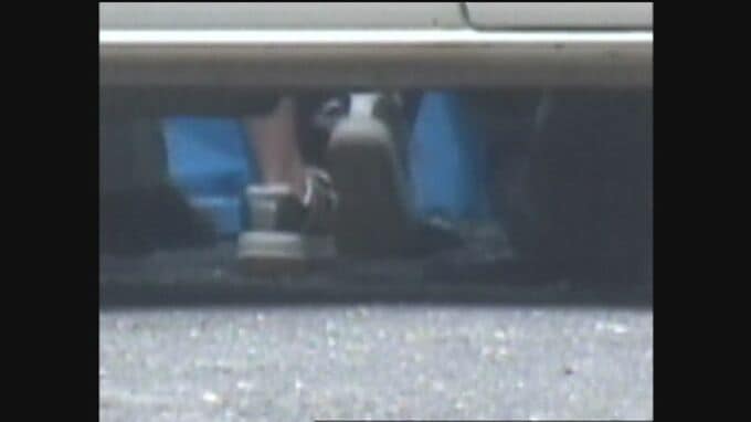 加害元少女は33歳「誰かを殺して普通に生きること」被害者兄の“重い願い”【佐世保小6同級生殺害事件・後編】|TBS NEWS DIG