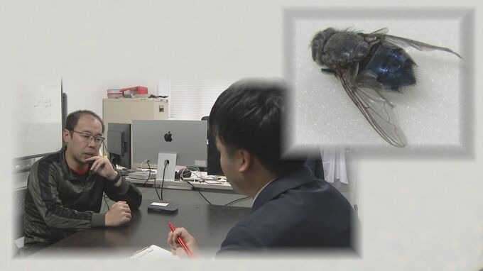 ”鳥インフル”ハエがウイルスを媒介か　九大の研究チームが発表|TBS NEWS DIG