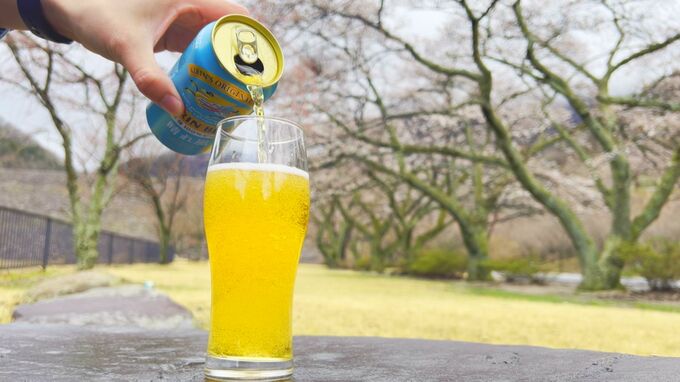 4000本のサクラが咲き誇る名所・万本桜公園のサクラを守りたい…キリンビールが手掛ける意外な取り組み　|　BSSニュース | BSS山陰放送