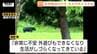 【現場動画】各地で撮られたクマの映像も　連日のように目撃されるクマ　酒田市男性遺体はクマに襲われたものと判明（山形）　|　山形のニュース│TUYテレビユー山形