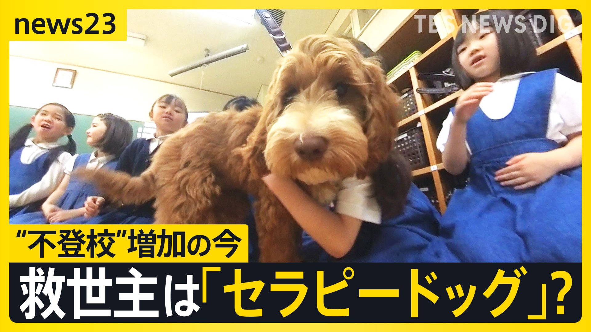 新入生は「セラピードッグ」…苦手を乗り越える子犬と子どもたちの1か月