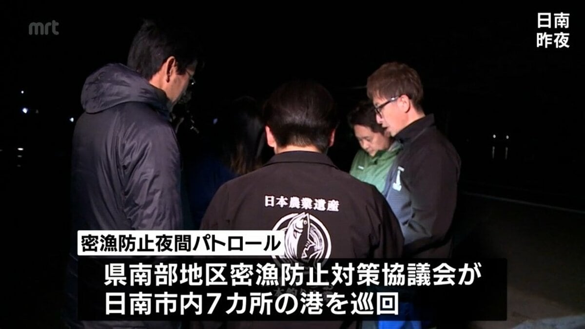 伊勢えびの「密漁」防止へ 日南市の港で夜間パトロール | MRTニュース | MRT宮崎放送 (1ページ)