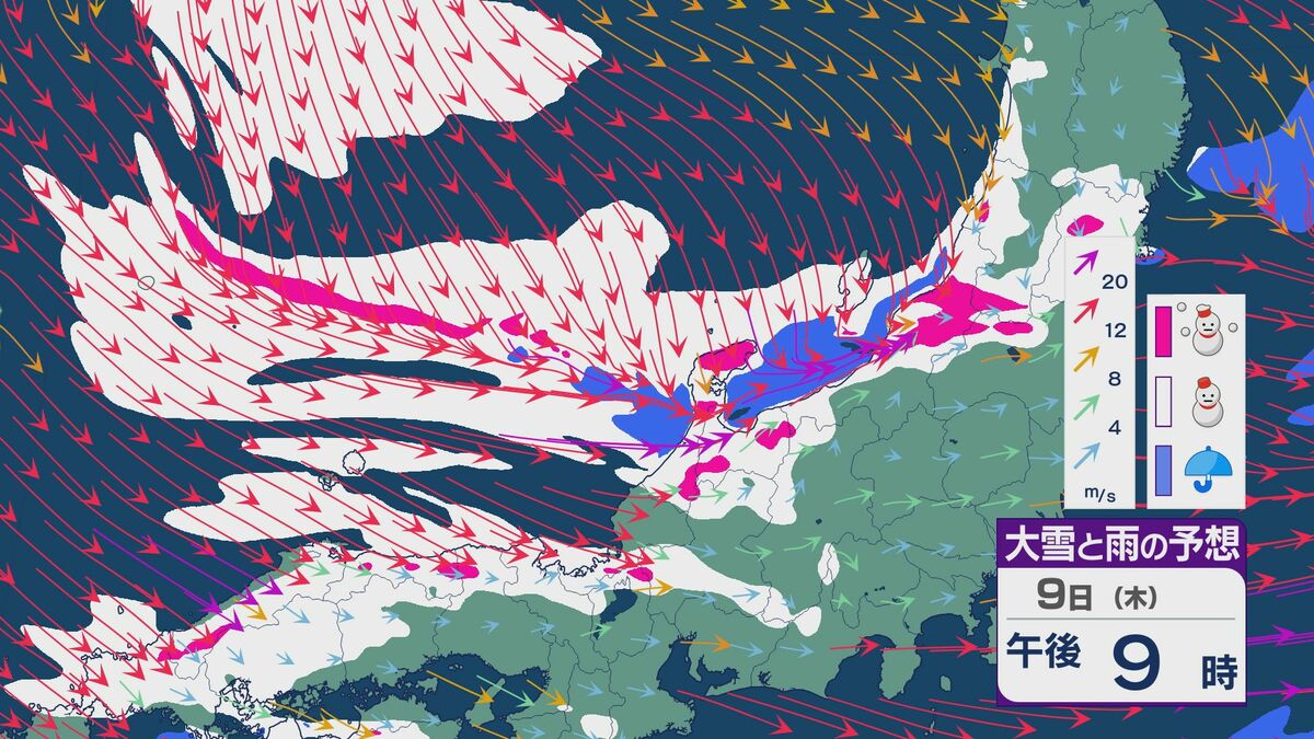 img_2ae2482d1594dc6e95e0485683