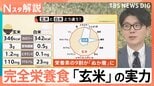 “玄米ブーム”到来か「体のために食べる」専門店も　健康志向の高まりで「玄米」に注目！も…なぜ今？【Nスタ解説】|TBS NEWS DIG