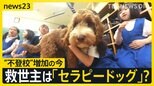 新入生は「セラピードッグ」…苦手を乗り越える子犬と子どもたちの1か月　言葉をこえた交流に密着【news23】|TBS NEWS DIG