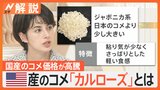 アメリカ産の米「カルローズ」日本産との違いは？国産米の価格高騰で「低価格帯のコメは品薄」【Nスタ解説】|TBS NEWS DIG