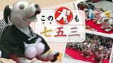 飼い主に抱かれ“二礼二拍手一礼”犬型ロボット「aibo」も発売5年を迎え「七五三」、当選10倍の狭き門をくぐった37体が参加 | 福岡のニュース|RKB NEWS|RKB毎日放送