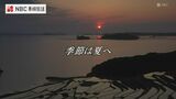 夏に向かう長崎の風景を空から 菖蒲園の紫陽花・唐比ハス園・諫早平野の麦秋・土谷棚田…【長崎ばーどアイ】 | 長崎のニュース | 天気 | NBC長崎放送