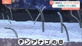 「見たら幸せに」11月11日は『チンアナゴの日』 フォトスポットにフードまで！東京・すみだ水族館がイベント開催「そこらじゅうにチンアナゴ」|TBS NEWS DIG