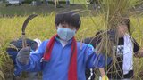「お米大好き!」 小学生が稲刈り体験 自分たちで5月に田植えをした食米を収穫|TBS NEWS DIG