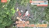 河川敷のBBQ客が大量のごみ放置…多摩川上流の周辺住民「腹が立つ」ボランティア「マナー守って」|TBS NEWS DIG