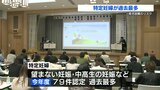 産前・産後母子支援事業 報告会 育児困難のリスクある「特定妊婦」最多に | 熊本のニュース|RKK NEWS|RKK熊本放送