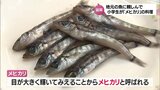 地元で水揚げされてきた深海魚「メヒカリ」を使って　延岡市の小学生が料理に挑戦|TBS NEWS DIG