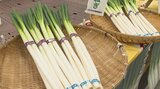 2023年度の農業産出額は1342億円 ネギは101億円、3年間で目標額達成 大分 | 大分のニュース|OBS NEWS|大分放送