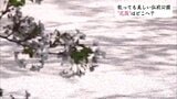 お堀に浮かぶサクラの花びら 花筏はどこへ消える? 弘前公園の桜のジュータンの行方 | 青森のニュース│ATV NEWS│青森テレビ