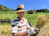 「棚田を守りたい」19年にわたり繋いできたコメづくり…期待が膨らむインバウンドへの道 新潟・長岡市|TBS NEWS DIG