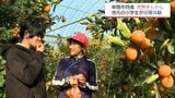 串間市特産「完熟きんかん」の収穫体験　地元の小学生らが旬の味覚を堪能|TBS NEWS DIG