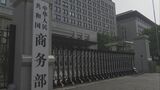 中国がＥU産豚肉を調査へ　中国製EVに対する関税への対抗措置か|TBS NEWS DIG