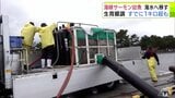 青森県むつ市の特産品「海峡サーモン」来シーズンの出荷に向け ニジマスの幼魚を次々と『いけす』へ すでに1kgを超す大物も 水揚げ量3年連続100トン超を目指す | 青森のニュース│ATV NEWS│青森テレビ