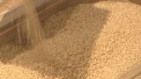 コメの流通価格の基準「概算金」最大4割程度上昇　全国的な“コメの品薄”が背景に|TBS NEWS DIG