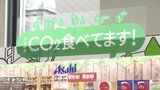 なぜ?自動販売機に「CO2を食べています」 好調なインバウンドで波に乗る愛媛の空の玄関口 CO2を食べる自販機&リアルタイム多言語翻訳ディスプレイ 愛媛県・松山空港 | 愛媛のニュース - Nスタえひめ|あいテレビは6チャンネル