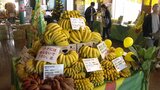 バナナの叩き売り発祥の地・北九州市の門司港でバナナのイベント | 福岡のニュース|RKB NEWS|RKB毎日放送