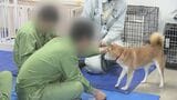 「早く帰って自分の犬と触れ合いたい…」受刑者が保護犬と交流、新たな更生支援プログラム　福島刑務所　|　福島のニュース│TUF