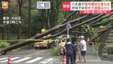 【台風7号】 被害は各地で　八丈島で信号機の向き変わる 渋谷区・広尾の住宅街では倒木被害も|TBS NEWS DIG