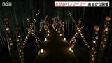 放置された竹林を活用したイベント「たがみバンブーブー」サッカーコート1面分の広大な敷地をアートで彩る 12日開幕　|　新潟のニュース・天気｜BSN NEWS｜BSN新潟放送