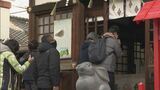 “うさぎ神社”初詣でにぎわう なでると幸せになるという「福兎」も 名古屋・大須 | 名古屋・愛知・岐阜・三重のニュース【CBC news】 | CBC web