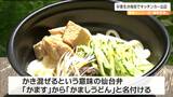 オリジナルのじゃじゃ麺　その名も「かましうどん」“かます”の意味とは　卒業生が大学にキッチンカー出店|TBS NEWS DIG
