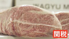 アメリカで人気の「WAGYU」トランプ関税でピンチ「このまま仕入れ続けられるか…」 税率50％超も| TBS CROSS DIG with Bloomberg