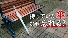 傘、なぜ忘れる？心理学の専門家が提案する、すべての持ち物にも役立つシンプルな対策|TBS NEWS DIG