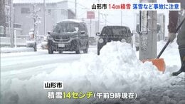 3連休最終日　北陸から北日本で暴風や猛吹雪に警戒　新潟　大雪のピーク越えるも積雪に注意　山形市14センチの積雪　落雪など事故に注意|TBS NEWS DIG