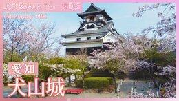愛知・犬山城~国宝の天守閣を彩る桜(Inuyamajo-castle, the cherry blossom beyond the history)【JNN sakuraドローンDIG 2024】|TBS NEWS DIG