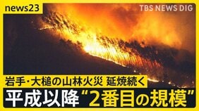 「全然寝られない」岩手・大槌の山林火災　延焼続き平成以降“２番目の規模”に　牛舎が燃えた畜産家は牛残せぬ苦悩も【news23】|TBS NEWS DIG