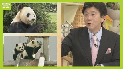 最高の外交官』中国のパンダ外交から見える思惑「日本がパンダが欲しい