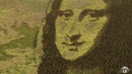 モナリザも黄金色の微笑に 月日で変化する田んぼアートの表情 青森