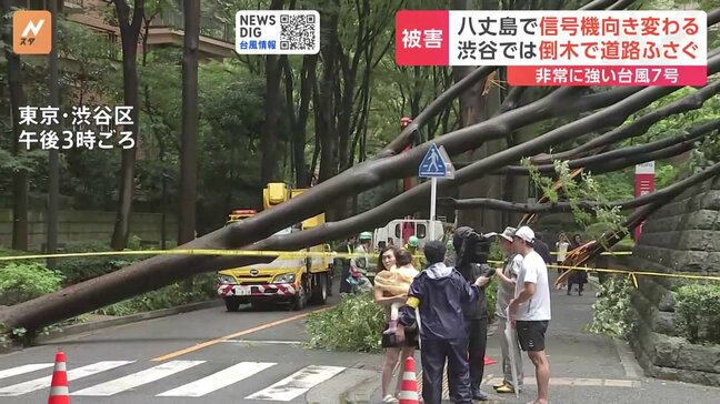 【台風7号】 被害は各地で 八丈島で信号機の向き変わる 渋谷区・広尾の住宅街では倒木被害も|TBS NEWS DIG